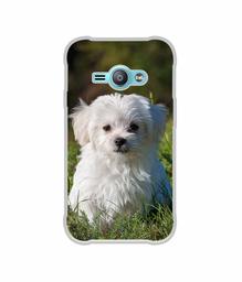 Amazon Brand - Solimo Designer White Dog UV Printed Soft Back Case Mobile Cover for Samsung Galaxy J1 Ace