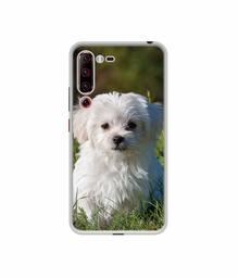 Amazon Brand - Solimo Designer White Dog UV Printed Soft Back Case Mobile Cover for Lenovo Z6 Pro