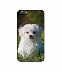 Amazon Brand - Solimo Designer White Dog UV Printed Soft Back Case Mobile Cover for Vivo Y69