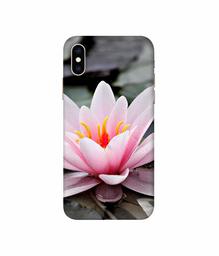 Amazon Brand - Solimo Designer Lotus 3D Printed Hard Back Case Mobile Cover for Apple iPhone Xs Max