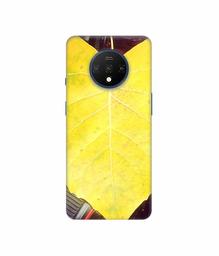 Amazon Brand - Solimo Designer Yellow Leaf 3D Printed Hard Back Case Mobile Cover for OnePlus 7T