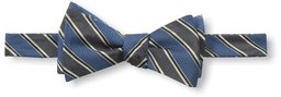 Franklin Tailored Men's Stripe Bow Tie, Teal