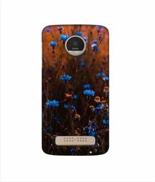 Amazon Brand - Solimo Designer Flower Photograpy 3D Printed Hard Back Case Mobile Cover for Motorola Moto Z Play