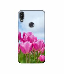 Amazon Brand - Solimo Designer Pink Lily 3D Printed Hard Back Case Mobile Cover for Asus Zenfone Max Pro M1 ZB601KL