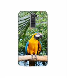 Amazon Brand - Solimo Designer Macaw Bird 3D Printed Hard Back Case Mobile Cover for LG K7