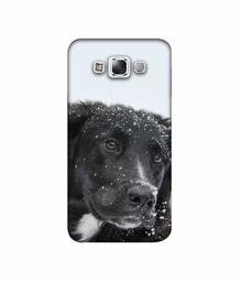 Amazon Brand - Solimo Designer Labrador Dog 3D Printed Hard Back Case Mobile Cover for Samsung Galaxy E7