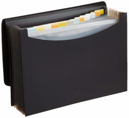 AmazonBasics Expanding File, Letter Size - Black (Renewed)