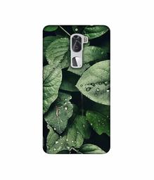 Amazon Brand - Solimo Designer Leafs 3D Printed Hard Back Case Mobile Cover for Coolpad Cool1 Dual