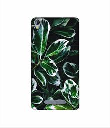 Amazon Brand - Solimo Designer Leaf Imperation 3D Printed Hard Back Case Mobile Cover for Micromax Canvas Juice 3Plus Q394