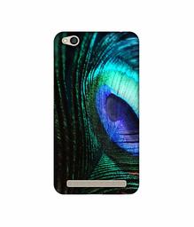 Amazon Brand - Solimo Designer Peacock Feather UV Printed Soft Back Case Mobile Cover for Mi Redmi 5A