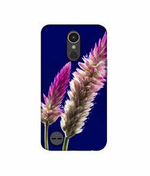 Amazon Brand - Solimo Designer Wheat Flower 3D Printed Hard Back Case Mobile Cover for LG K10 (2017)