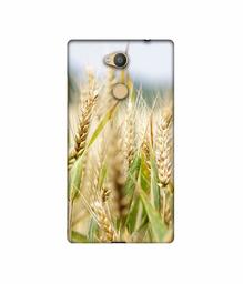 Amazon Brand - Solimo Designer Wheat Plant 3D Printed Hard Back Case Mobile Cover for Sony Xperia L2