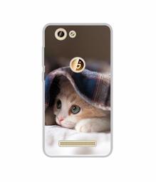 Amazon Brand - Solimo Designer Sleepy Kitten UV Printed Soft Back Case Mobile Cover for Gionee F103 Pro