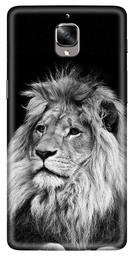 Amazon Brand - Solimo Designer Lion Design 3D Printed Hard Back Case Mobile Cover for OnePlus 3T