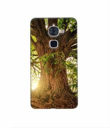 Amazon Brand - Solimo Designer Tree Trunk 3D Printed Hard Back Case Mobile Cover for LeTV Le 2