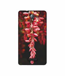 Amazon Brand - Solimo Designer Flowers Photograpy 3D Printed Hard Back Case Mobile Cover for Micromax Canvas Pace 4G Q416