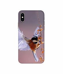 Amazon Brand - Solimo Designer Bird 3D Printed Hard Back Case Mobile Cover for Apple iPhone Xs Max