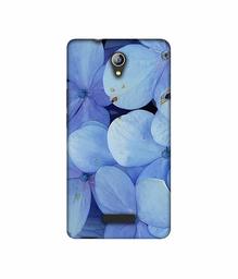 Amazon Brand - Solimo Designer Light Blue Flower Photography 3D Printed Hard Back Case Mobile Cover for Micromax Canvas Pace 4G Q416