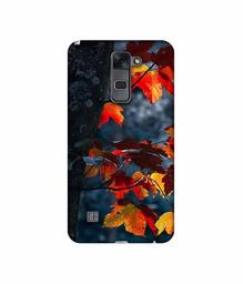 Amazon Brand - Solimo Designer Autumn Leaf 3D Printed Hard Back Case Mobile Cover for LG Stylus 2