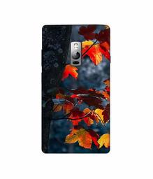 Amazon Brand - Solimo Designer Autumn Leaf 3D Printed Hard Back Case Mobile Cover for OnePlus 2