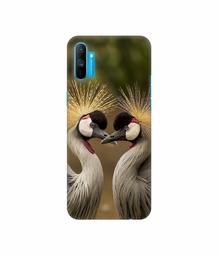 Amazon Brand - Solimo Designer Birds 3D Printed Hard Back Case Mobile Cover for Realme C3