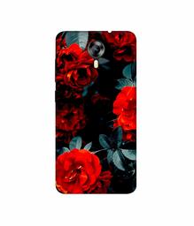 Amazon Brand - Solimo Designer Rose Photography 3D Printed Hard Back Case Mobile Cover for Micromax Canvas Xpress 2 E313