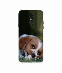 Amazon Brand - Solimo Designer Cute Puppy 3D Printed Hard Back Case Mobile Cover for LG Q7