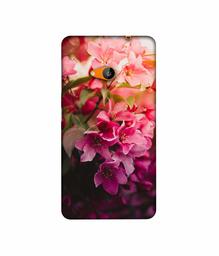 Amazon Brand - Solimo Designer Blossom Weather 3D Printed Hard Back Case Mobile Cover for Microsoft Lumia 535