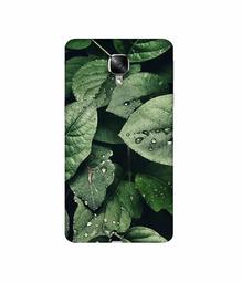 Amazon Brand - Solimo Designer Leafs 3D Printed Hard Back Case Mobile Cover for OnePlus 3 / OnePlus 3T