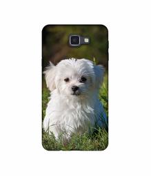 Amazon Brand - Solimo Designer White Dog UV Printed Soft Back Case Mobile Cover for Samsung Galaxy J5 Prime