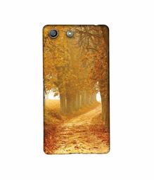 Amazon Brand - Solimo Designer Autumn Scene 3D Printed Hard Back Case Mobile Cover for Sony Xperia M5 Dual