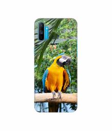 Amazon Brand - Solimo Designer Macaw Bird 3D Printed Hard Back Case Mobile Cover for Realme C3