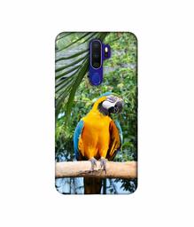 Amazon Brand - Solimo Designer Macaw Bird 3D Printed Hard Back Case Mobile Cover for Oppo A9 (2020)