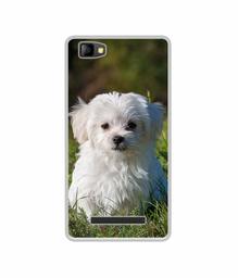 Amazon Brand - Solimo Designer White Dog UV Printed Soft Back Case Mobile Cover for Lyf Flame 8