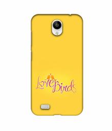 Amazon Brand - Solimo Designer Love Birds 3D Printed Hard Back Case Mobile Cover for Vivo Y21L