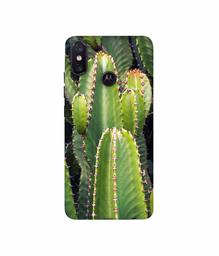 Amazon Brand - Solimo Designer Desert Plant 3D Printed Hard Back Case Mobile Cover for Motorola One Power