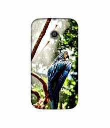 Amazon Brand - Solimo Designer Macaw Parrot 3D Printed Hard Back Case Mobile Cover for Motorola Moto E 1st Generation