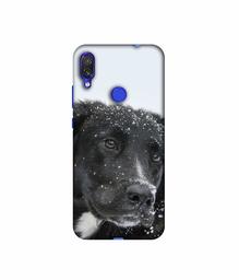 Amazon Brand - Solimo Designer Labrador Dog 3D Printed Hard Back Case Mobile Cover for Xiaomi Redmi Note 7S