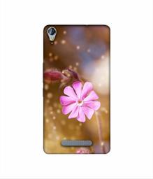 Amazon Brand - Solimo Designer Pink Flower 3D Printed Hard Back Case Mobile Cover for Micromax Canvas Juice 3Plus Q394