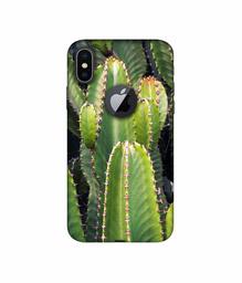 Amazon Brand - Solimo Designer Desert Plant 3D Printed Hard Back Case Mobile Cover for Apple iPhone X (Logo Cut)