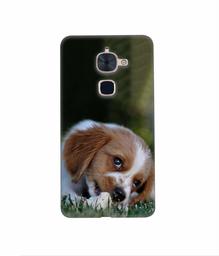 Amazon Brand - Solimo Designer Cute Puppy 3D Printed Hard Back Case Mobile Cover for LeTV Le 2