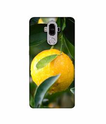 Amazon Brand - Solimo Designer Lemon 3D Printed Hard Back Case Mobile Cover for Huawei Mate 9