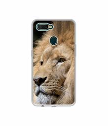 Amazon Brand - Solimo Designer Lion UV Printed Soft Back Case Mobile Cover for Oppo A7