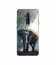 Amazon Brand - Solimo Designer Elephant 3D Printed Hard Back Case Mobile Cover for OnePlus 7T Pro