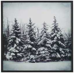 Amazon Brand – Stone & Beam Modern Black and White Print Wall Art of Forest Snow, Black Frame, 12