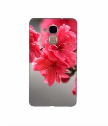 Amazon Brand - Solimo Designer Blossom Like Flower 3D Printed Hard Back Case Mobile Cover for Huawei Honor 5c