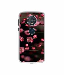 Amazon Brand - Solimo Designer Pink Flowers UV Printed Soft Back Case Mobile Cover for Motorola Moto G6 Plus