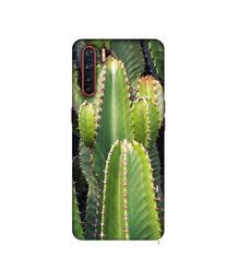 Amazon Brand - Solimo Designer Desert Plant 3D Printed Hard Back Case Mobile Cover for Oppo A91