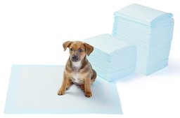 AmazonBasics Puppy Pads Trainingsunterlagen für Welpen, Standardgröße, 150 Stück