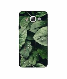 Amazon Brand - Solimo Designer Leafs 3D Printed Hard Back Case Mobile Cover for Samsung Galaxy E5